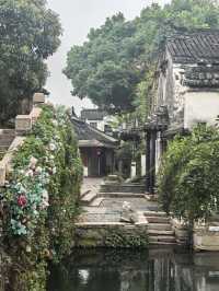 總要去趟周莊古鎮吧，看看課本裡的江南