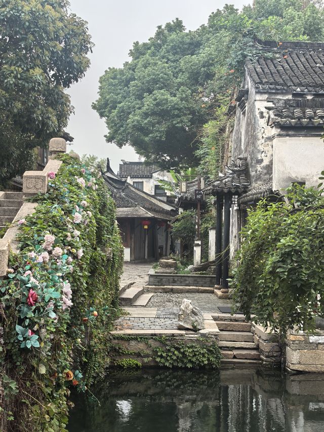 總要去趟周莊古鎮吧，看看課本裡的江南