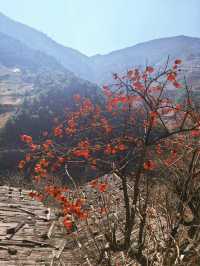 傈僳族古寨的千年密碼與秘境指南