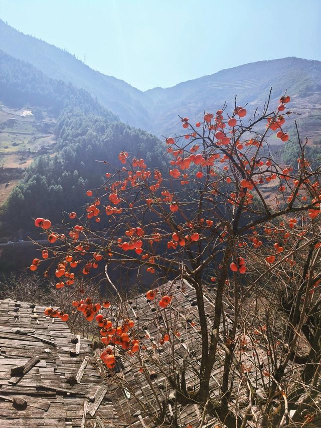 傈僳族古寨的千年密碼與秘境指南 傈僳族古寨的千年密碼與秘境指南