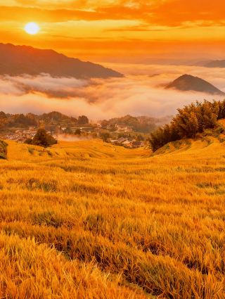 ระเบียงหยุนเหอ | งดงามจนพูดไม่ออก! กระจกสะท้อนท้องฟ้าที่ส่องสว่างด้วยหมอกยามเช้า