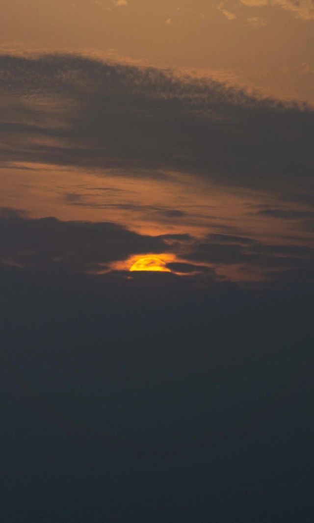 城市中心的秋日童話