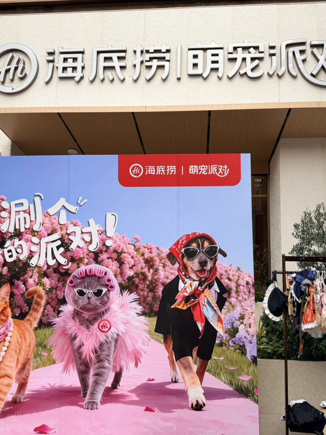 坂田雙子塔:深圳的閃耀CP✨ 坂田雙子塔:深圳的閃耀CP✨