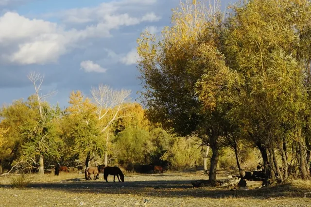 阿勒泰美翻的五彩灘