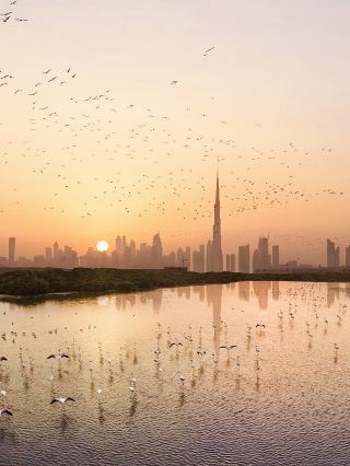 Dubai Photo Secrets: 5 Hidden Gems for Jaw-Dropping Shots!