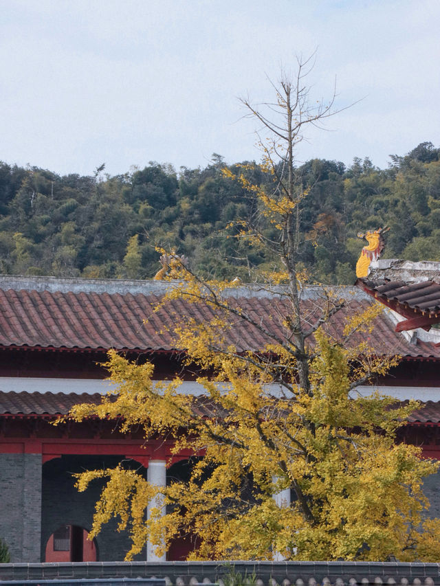 赴一場千年之約享避世之地的絕美秋色