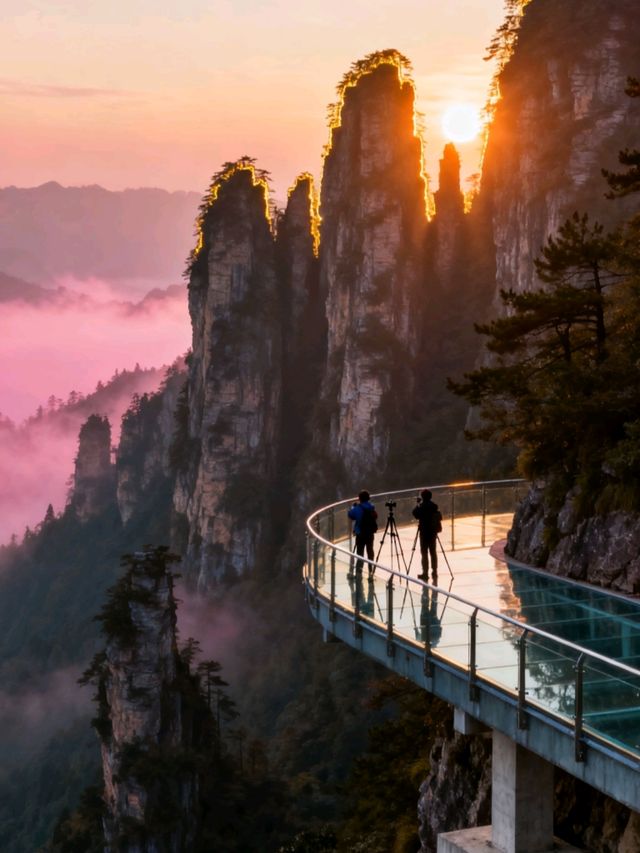 湖南張家界:石英峰林刺破雲端,玻璃棧道上的心跳與仙境撞個 湖南張家界:石英峰林刺破雲端,玻璃棧道上的心跳與仙境撞個