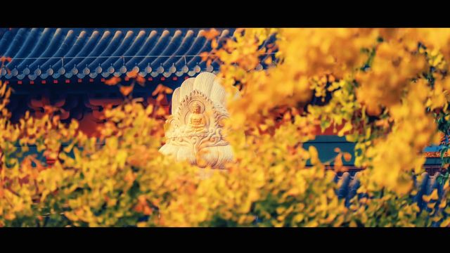 南京最禪意銀杏地毗盧寺私藏機位攻略