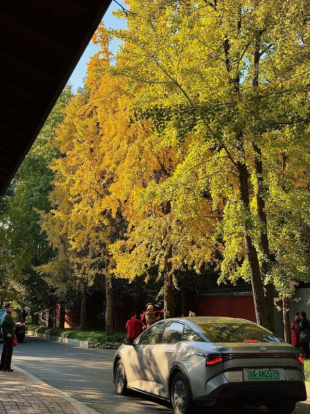 漫步詩歌裡成都浣花溪公園的神仙玩法