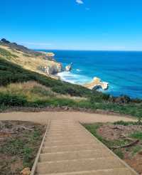 新西蘭南島火爆全網!隧道沙灘重新開放啦