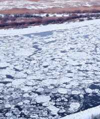 額爾古納河上演跑冰排