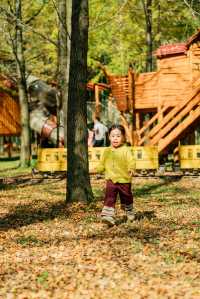 杭州出發1h,銀杏林農場是秋冬遛娃天花板