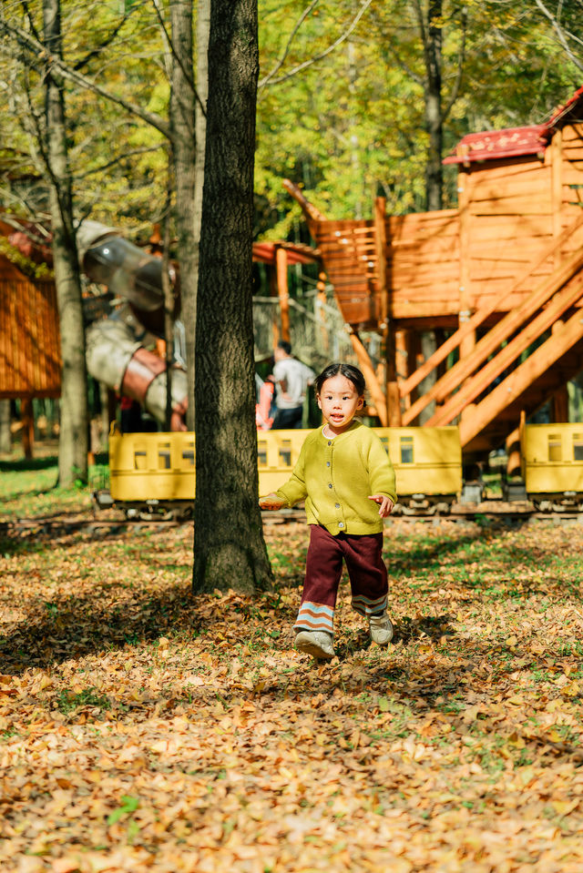 杭州出發1h,銀杏林農場是秋冬遛娃天花板 杭州出發1h,銀杏林農場是秋冬遛娃天花板