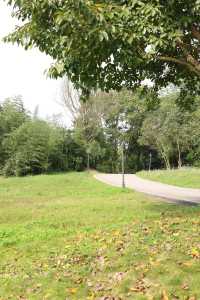 廣安隱藏免費瀑布!運氣爆棚偶遇彩虹也太絕