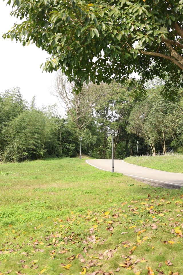 廣安隱藏免費瀑布!運氣爆棚偶遇彩虹也太絕 廣安隱藏免費瀑布!運氣爆棚偶遇彩虹也太絕