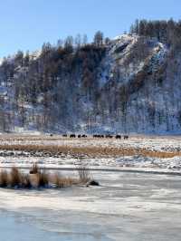 冬季阿爾山0元絕美打卡地合集,拍的每一幀都是壁紙