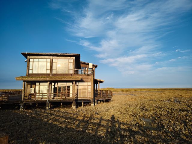 走進一片世外桃源~東灘濕地好美 走進一片世外桃源~東灘濕地好美