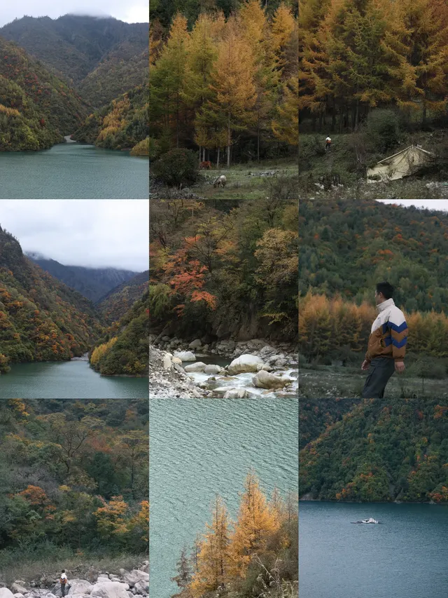 川北綿陽平武賞秋|駛入彩林畫廊 川北綿陽平武賞秋|駛入彩林畫廊