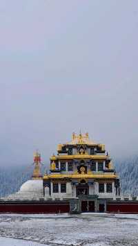 滇藏邊界的神隱之旅怒江丙中洛旅遊攻略