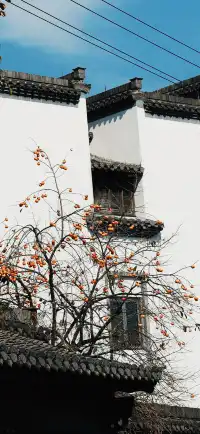 杭州出發|第 站黃山腳下週末兩日賞秋景