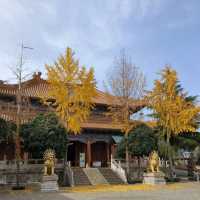 西安雲居寺必拍視角