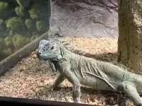 天津海洋極地公園｜必看四大海洋秀