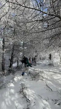 不是北歐，勝似北歐！雪後樺皮嶺