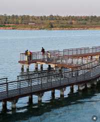 長沙本地人私藏寶藏地！松雅湖濕地公園美到窒息