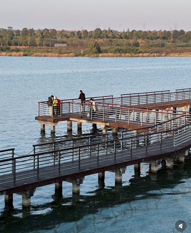 長沙本地人私藏寶藏地！松雅湖濕地公園美到窒息