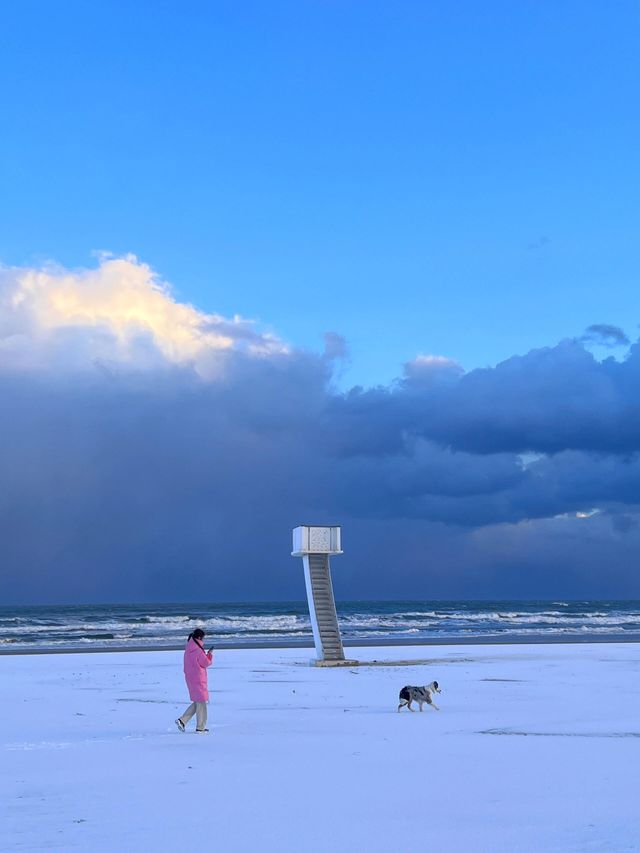 青島-威海-煙台5日遊去前必看攻略 青島-威海-煙台5日遊去前必看攻略