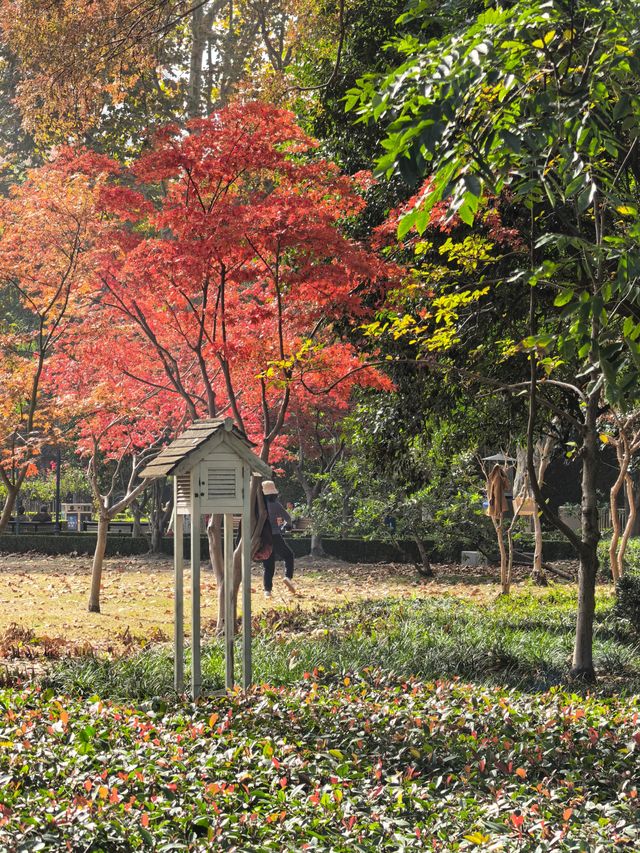 秋日限定!魔都城市氧吧暴走地圖 秋日限定!魔都城市氧吧暴走地圖