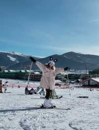 新疆行，真實體驗，未踩坑！