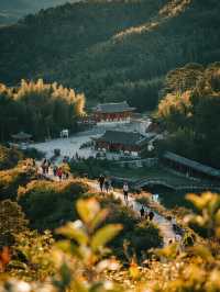 廣西賀州親子反向遊！預算千元內，三日吸氧之旅