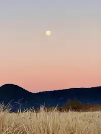 2025.11.22！！！瀘沽湖的晨霧美瘋了！！！！！！！！