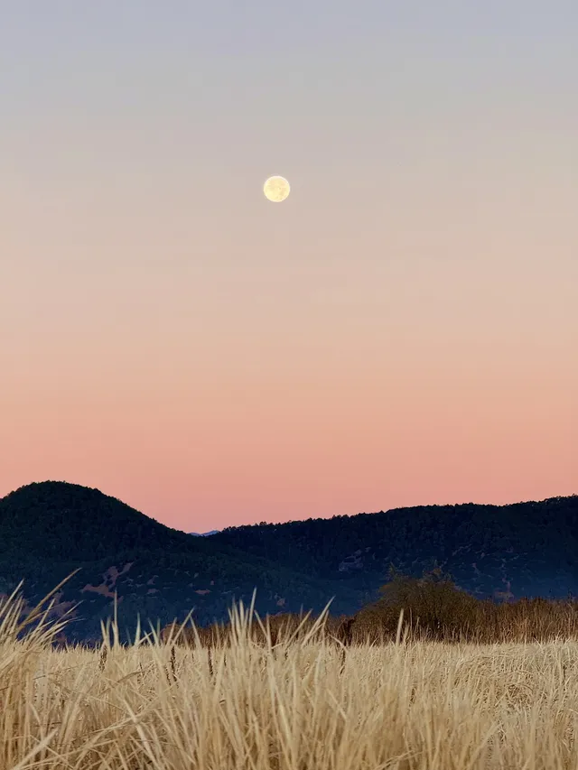 2025.11.22！！！瀘沽湖的晨霧美瘋了！！！！！！！！