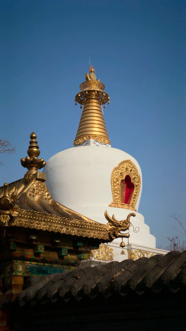 金塔藍天下佛光普照