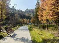 宋山煥新回歸！宜昌周邊爬山吸氧好去處