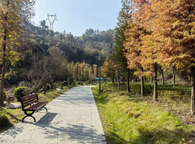 宋山煥新回歸！宜昌周邊爬山吸氧好去處