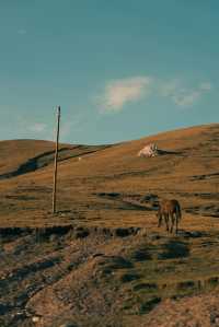 冬天必衝巴音郭楞等地美景等你探
