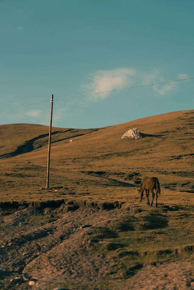 冬天必衝巴音郭楞等地美景等你探