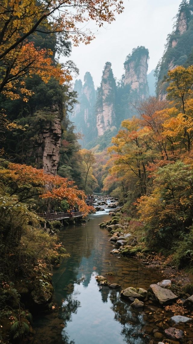 帶上家人來張家界四天三晚，玩轉阿凡達仙境！