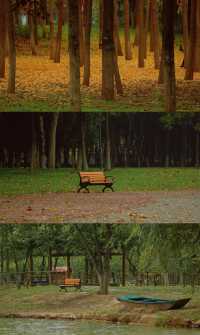 浐灞濕地的藍與紅美到窒息