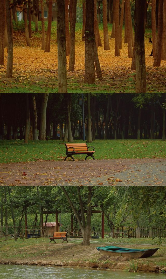 浐灞濕地的藍與紅美到窒息