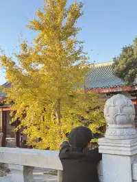 美得不像在莆田!朋友圈都在問的超絕秋景