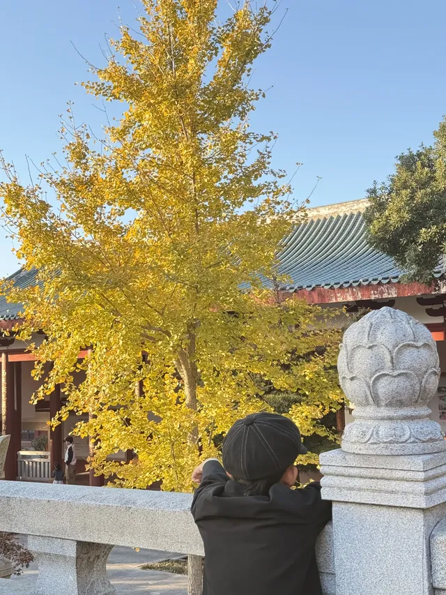 美得不像在莆田!朋友圈都在問的超絕秋景 美得不像在莆田!朋友圈都在問的超絕秋景