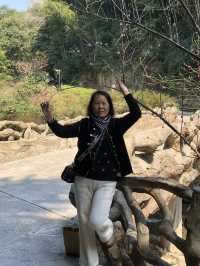 探秘寧波浙東小九寨,開啟一場綠野仙蹤之旅。