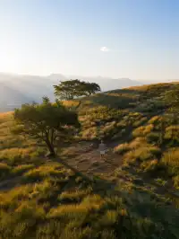 不是非洲這是雲南人自己的薩王納草原~