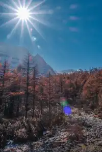 攻略貼一人非自駕川西行稻城亞丁篇