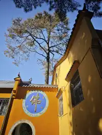 九華山歸來的一些心得分享