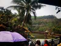 西雙版納原始森林公園